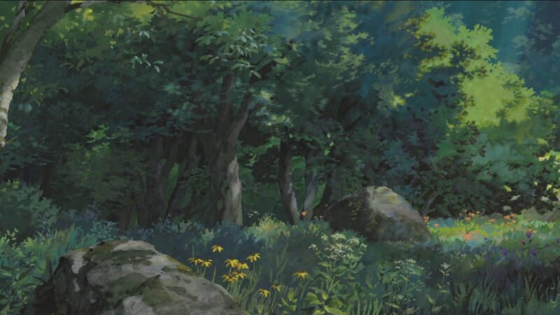 Forest Clearing with Rocks