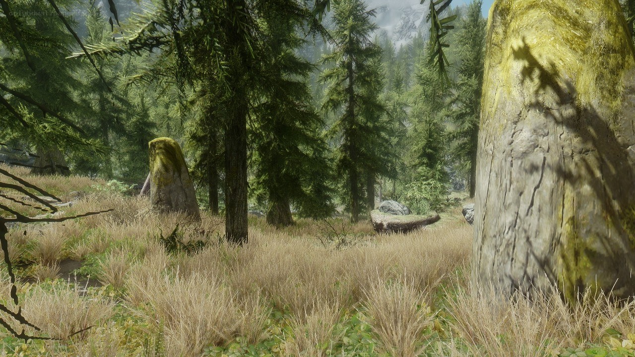 forest clearing with stone pillars