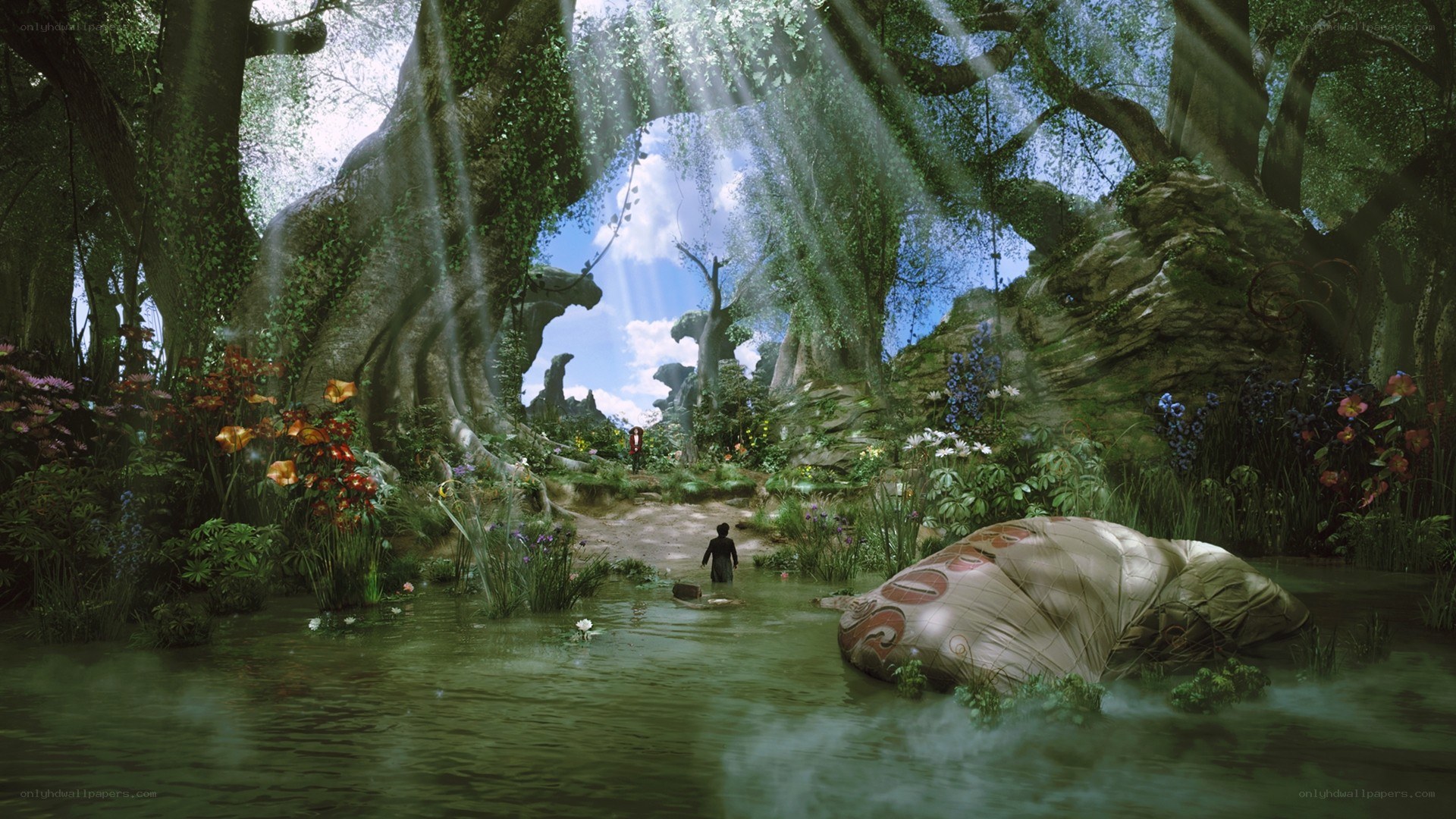 forest clearing with sunbeams