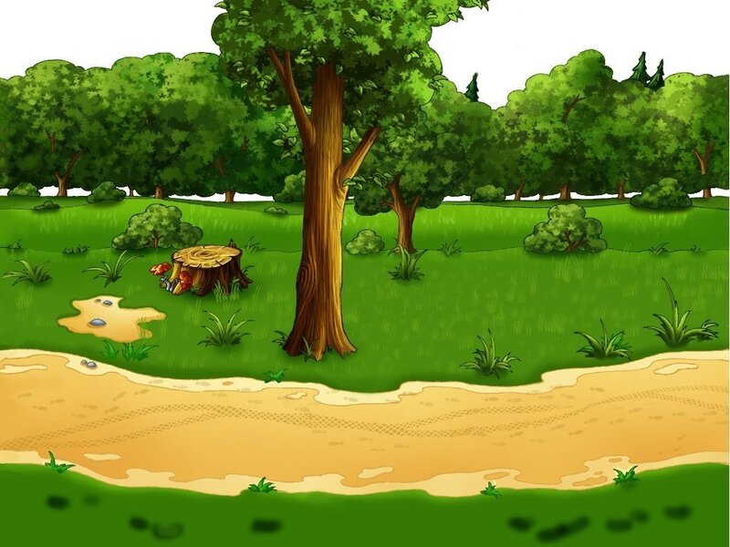 forest clearing with tree stump