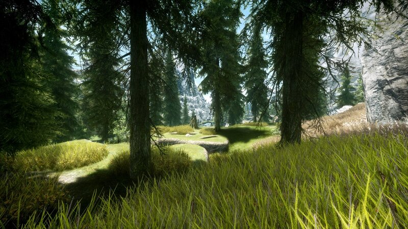 Forest Clearing with Trees — Green, Serene, Afternoon, 3d Render