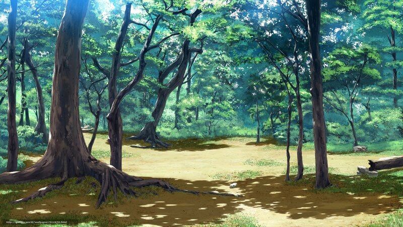 Forest Clearing with Trees — Green, Serene, Afternoon