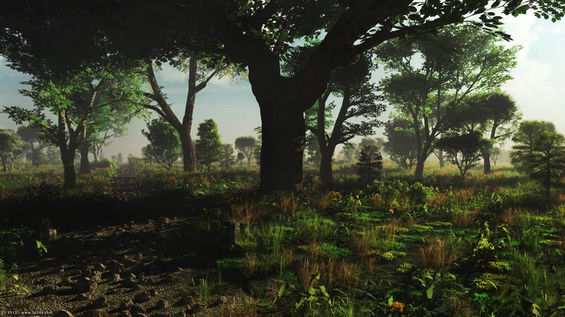 Forest Clearing with Trees — Green, Serene, Morning