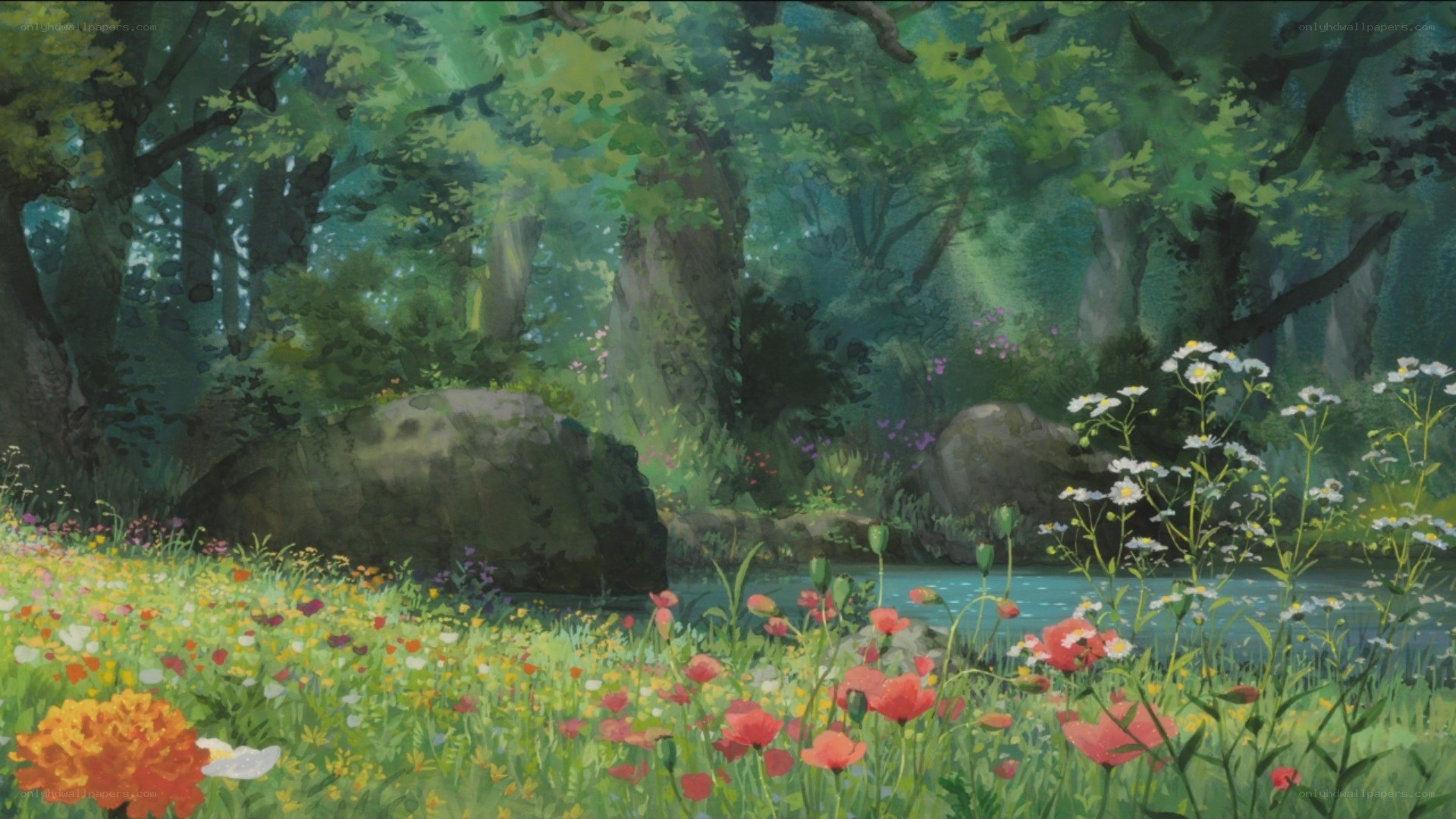 Forest clearing with wildflowers