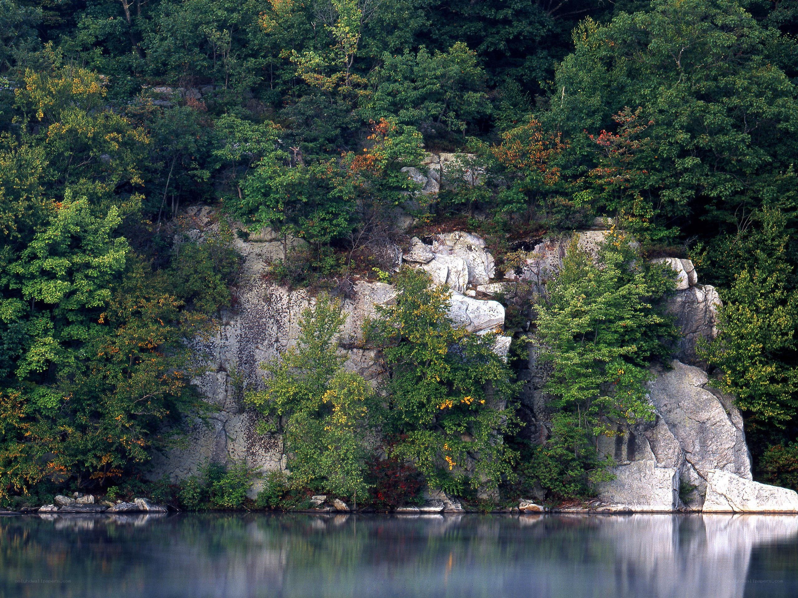 Forest cliff beside calm lake