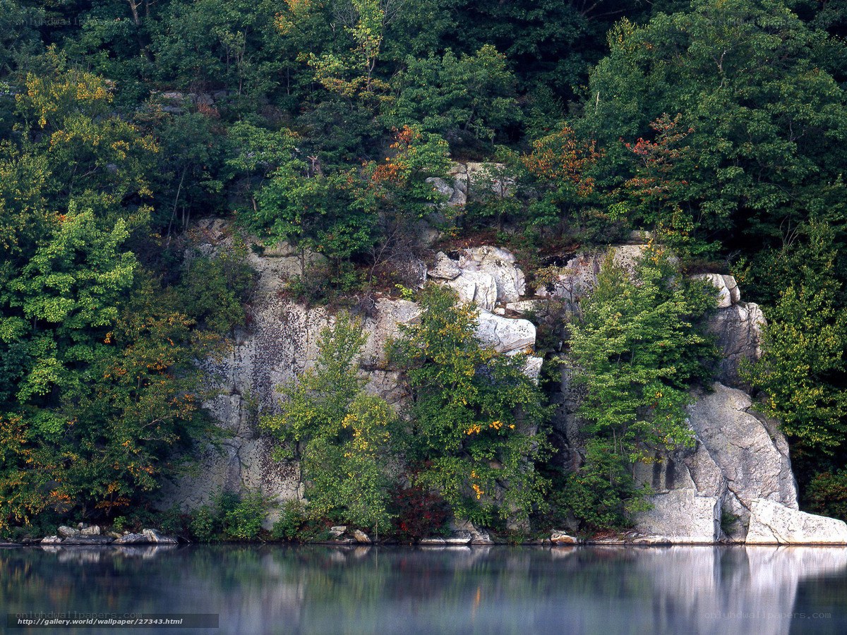 Forest cliff by a calm lake
