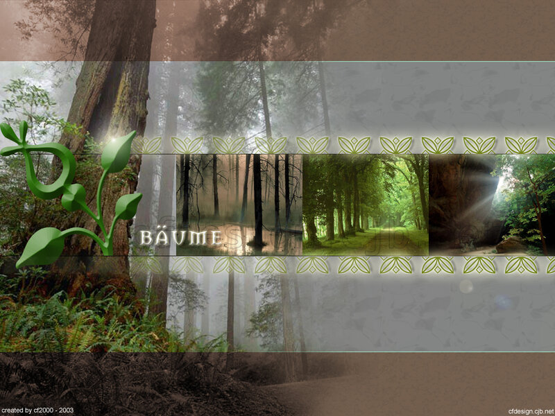 Forest Collage with Text