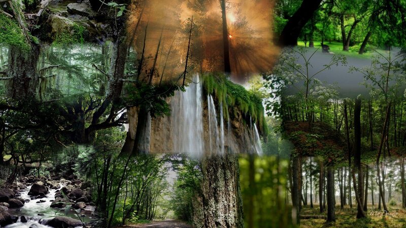 Forest collage with waterfall