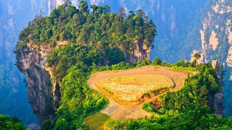 Forest-covered Cliff Island