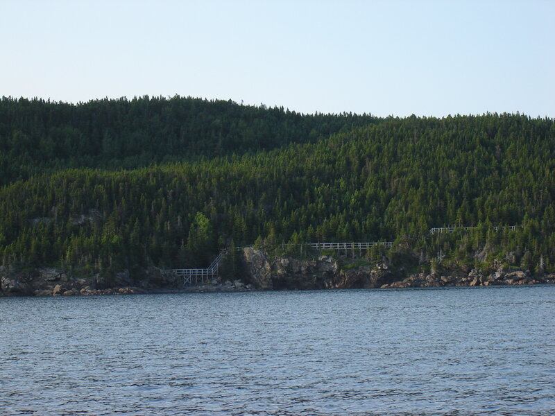 Forest-covered Cliff