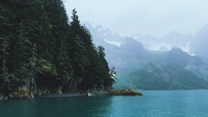 Forest-covered Coastline