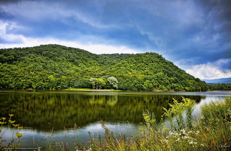 Forest-covered Hill by Lake — Green, Dramatic