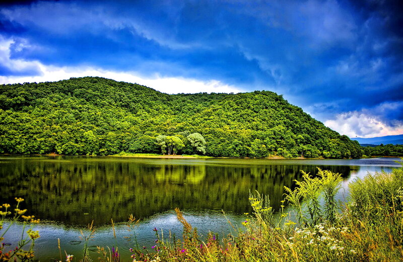 Forest-covered Hill by Lake