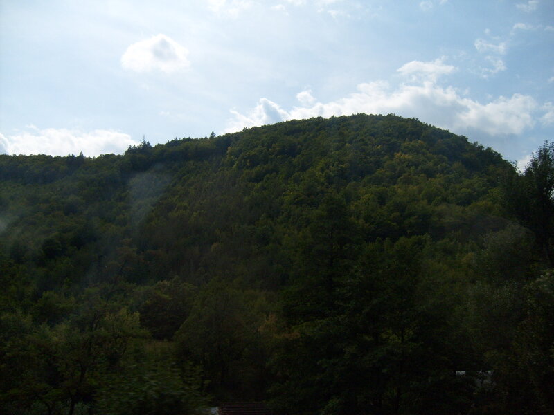 Forest-covered Hill