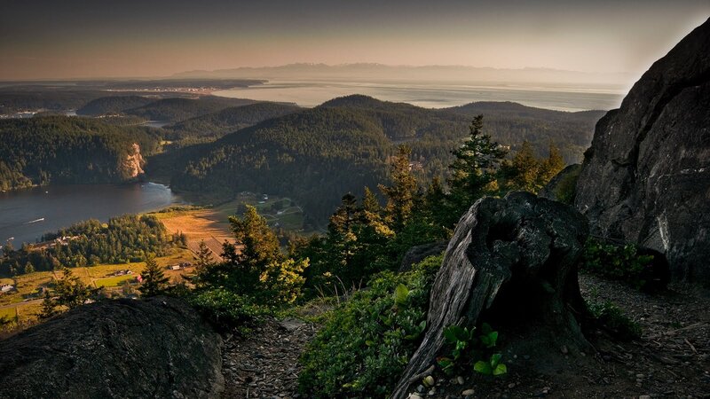 Forest-covered Hills and Bay — Green