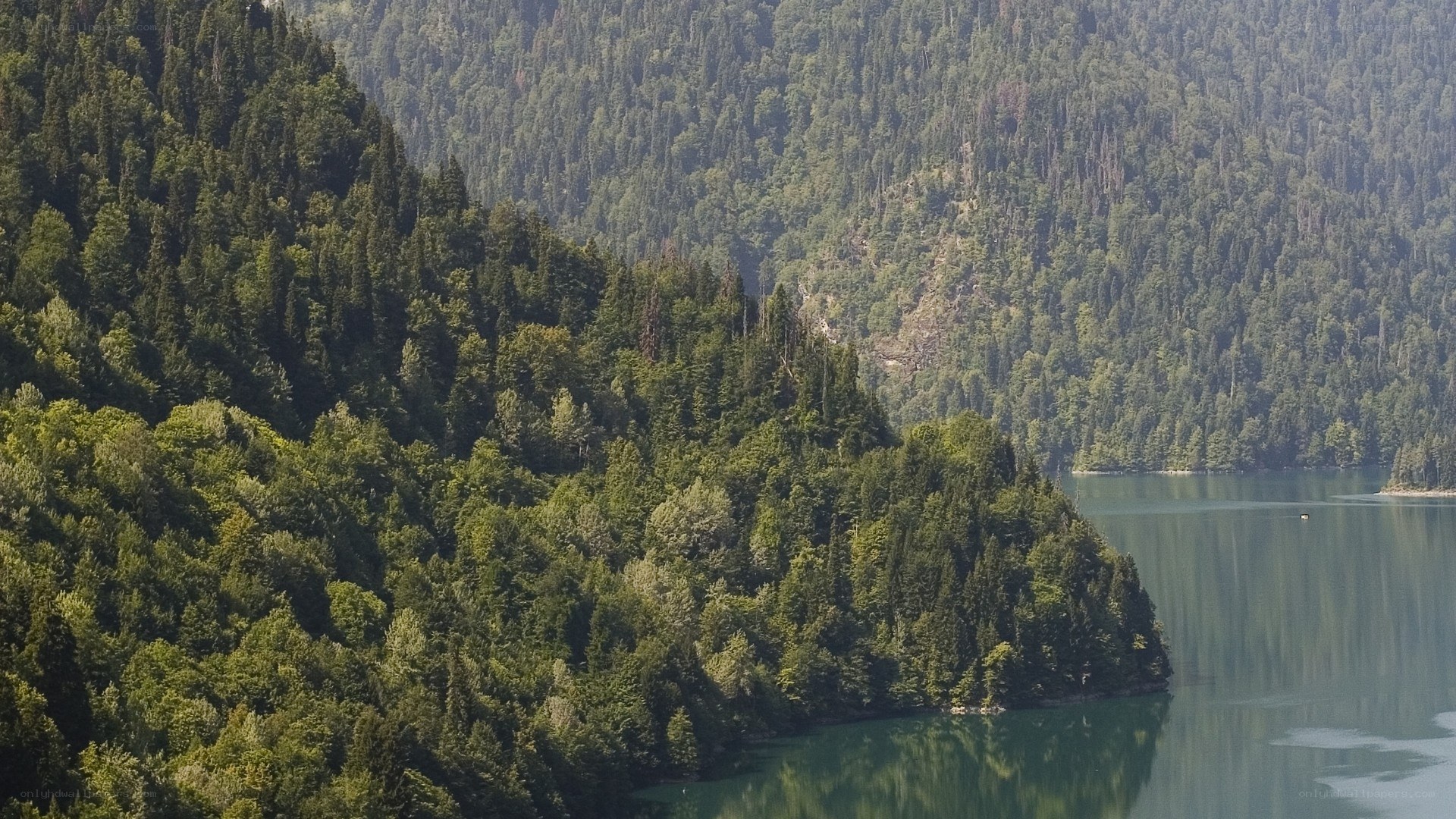 Forest-covered hills and lake