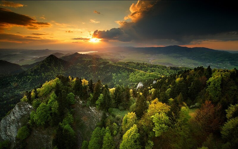 Forest-covered Hills at Sunset — Green, Dramatic