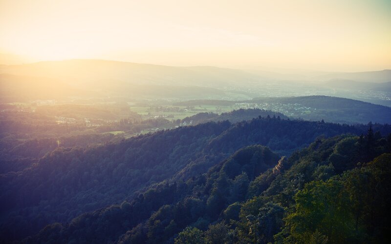 Forest-covered Hills at Sunset — Green, Serene