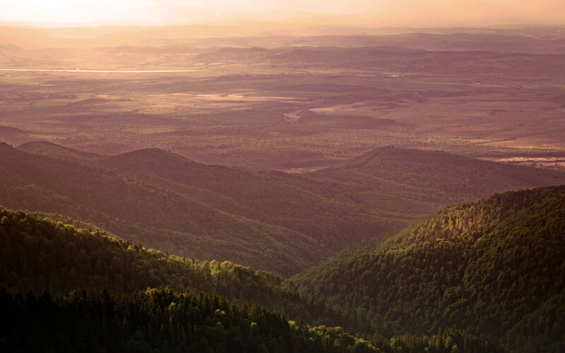 Forest-covered Hills at Sunset — Green