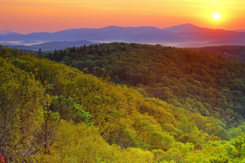 Forest-covered Hills at Sunset — Orange