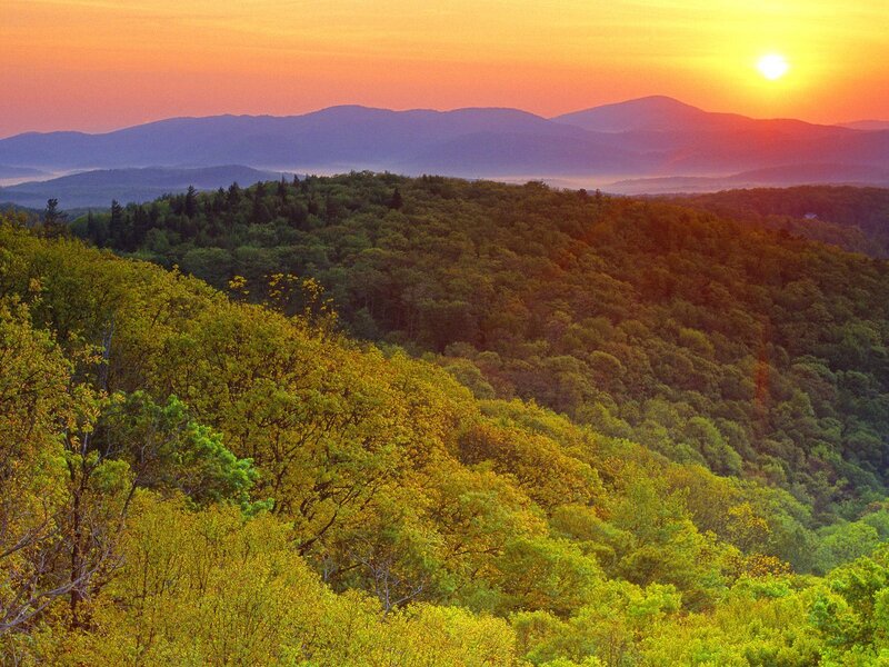Forest-covered Hills at Sunset