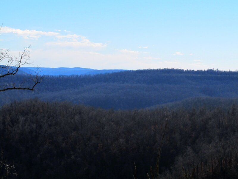 Forest-covered Hills — Blue, Serene