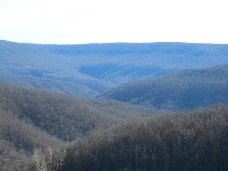 Forest-covered Hills — Blue