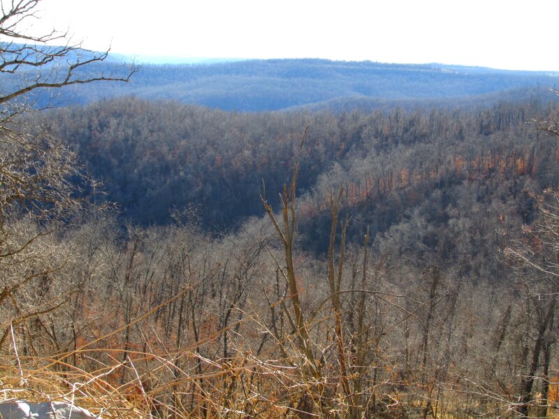 Forest-covered Hills — Brown