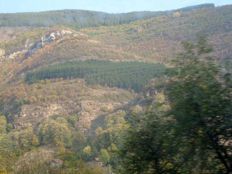 Forest-covered hills from a moving vehicle