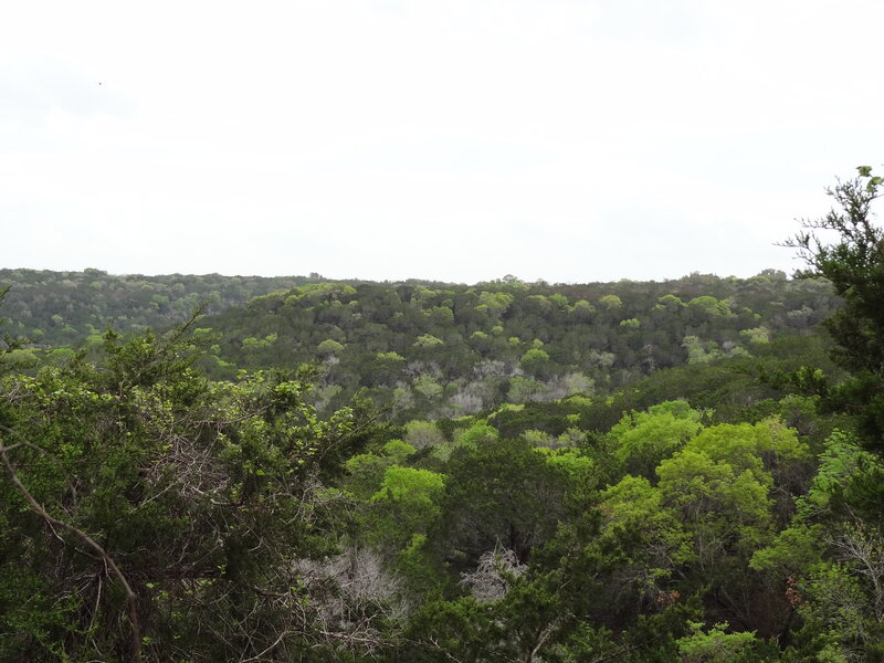 Forest-covered Hills — Green, Calm, Morning