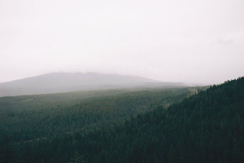 Forest-covered Hills — Green, Misty