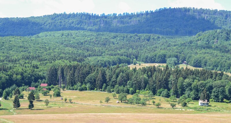 Forest-covered Hills — Green, Serene, Afternoon, Photograph, Fields
