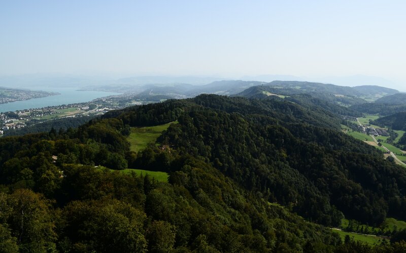 Forest-covered Hills — Green, Serene, Afternoon, Photograph, Lake