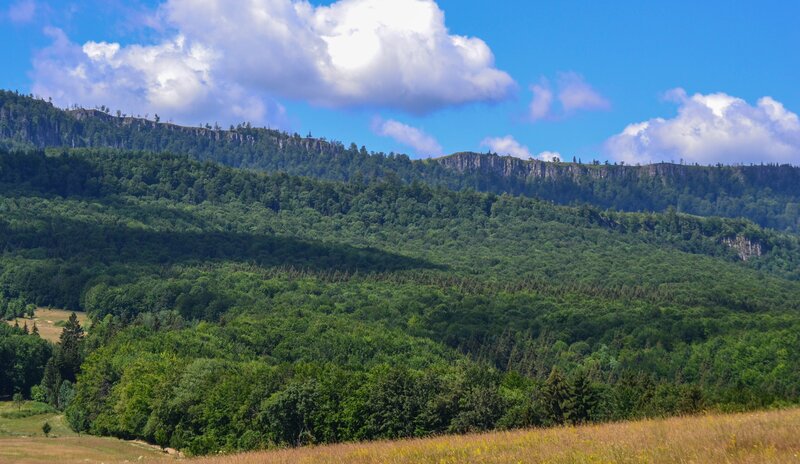 Forest-covered Hills — Green, Serene, Afternoon, Photograph, Trees, Cliffs