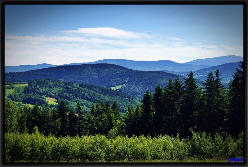 Forest-covered Hills — Green, Serene, Afternoon