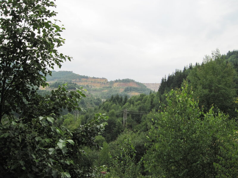 Forest-covered Hills — Green