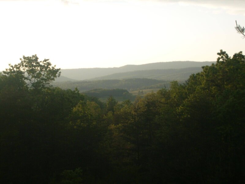 Forest-covered Hills