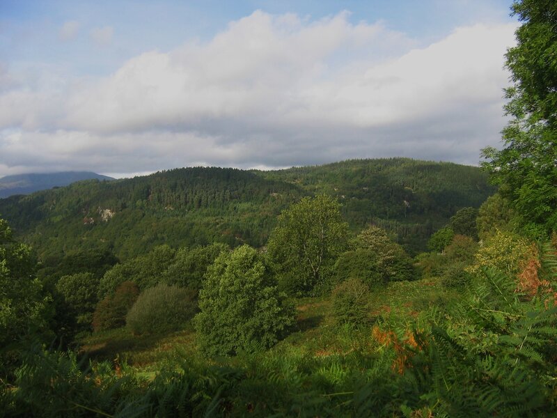Forest-covered hills under cloudy sky