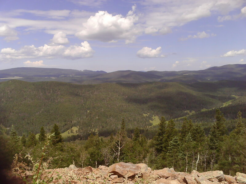 Forest-covered hills under cloudy sky