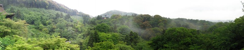 forest-covered hills with temple