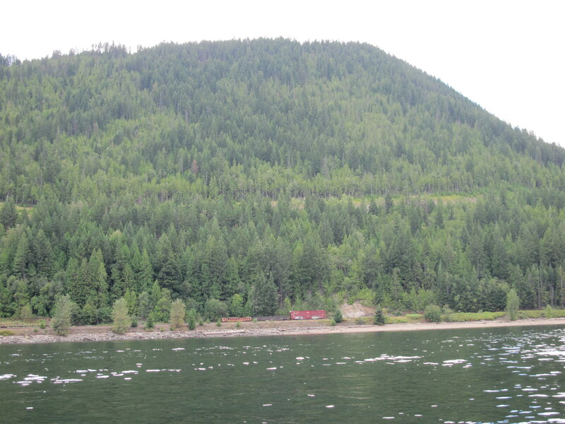 Forest-covered Hillside — Green, Calm, Photograph