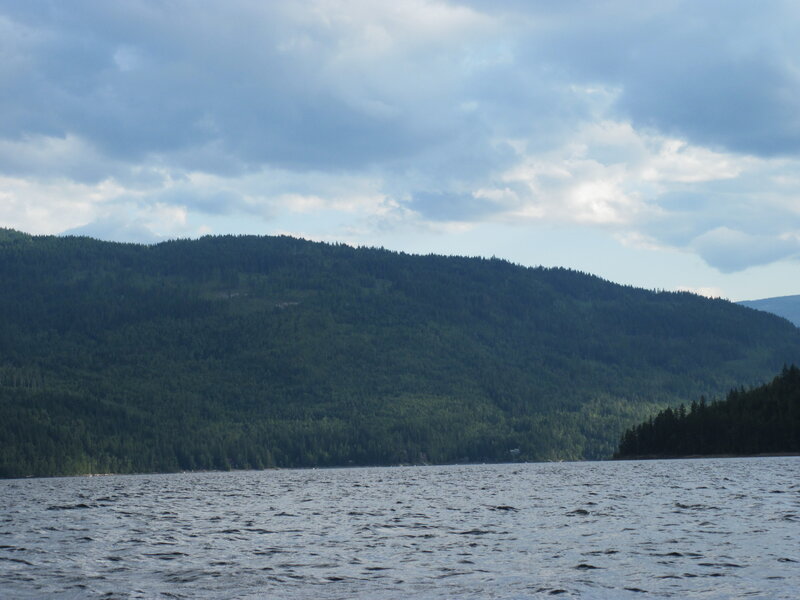 Forest-covered Hillside — Green, Calm