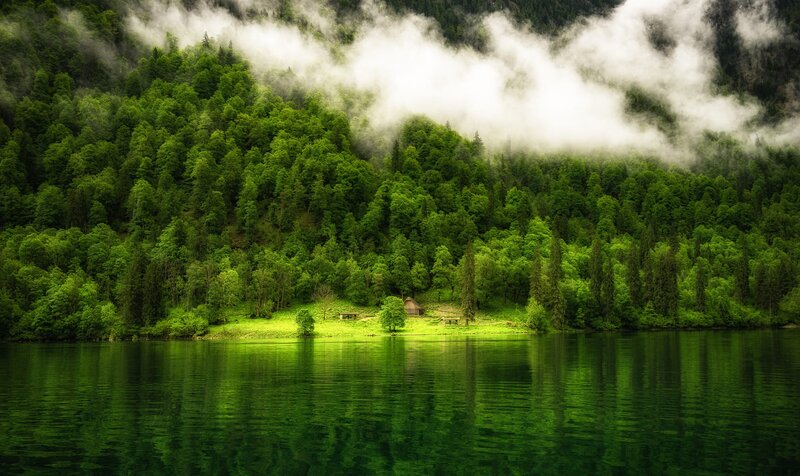 Forest-covered Hillside — Green, Serene