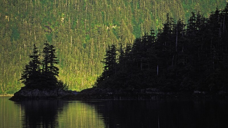 Forest-covered Island — Green, Serene