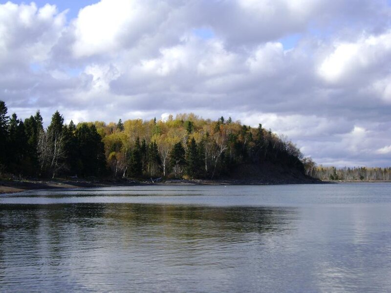 Forest-covered Island