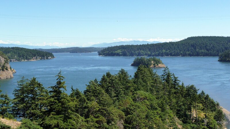 Forest-covered Islands