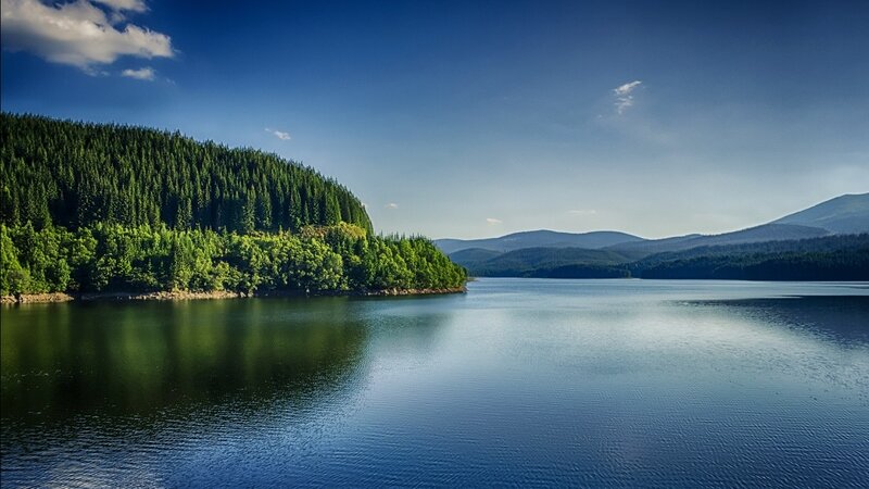 Forest-covered Lake
