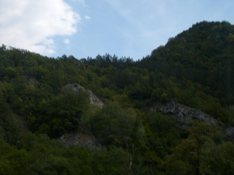 Forest-covered Mountain — Green, Calm
