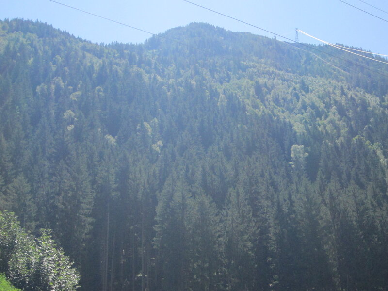 Forest-covered Mountain — Green, Serene, Afternoon, Photograph, Trees