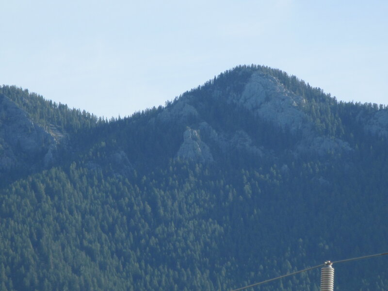 Forest-covered Mountain — Green, Serene, Afternoon